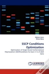 Sscp Conditions Optimization