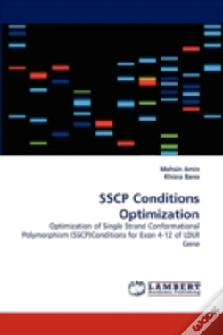 Capa do artigo Sscp Conditions Optimization