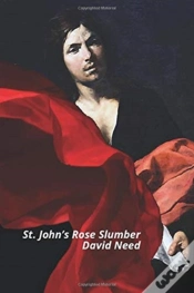 Capa do artigo St. John