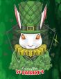 St Patricks Coloring Book - Preview