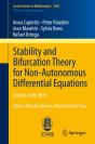 Stability And Bifurcation Theory For Non-Autonomous Differential Equations - Preview