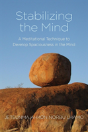 Stabilizing The Mind - Preview