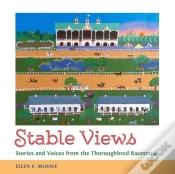 Capa do artigo Stable Views