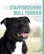 Staffordshire Bull Terrier - Preview