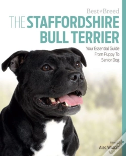 Capa do artigo Staffordshire Bull Terrier