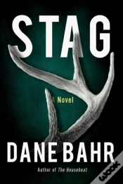 Capa do artigo Stag