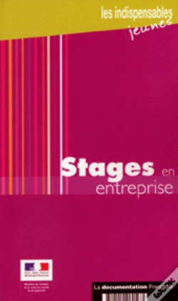 Capa do artigo Stages En Entreprise