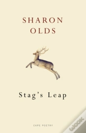 Capa do artigo Stag