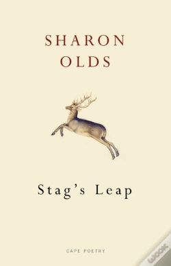 Capa do artigo Stag'S Leap