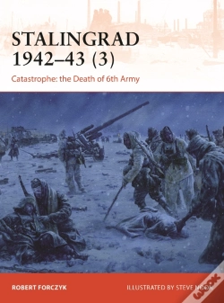 Capa do artigo Stalingrad 1942â€“43 (3)