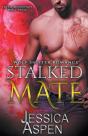 Stalked Mate: A Wolf Shifter Romance - Preview