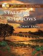 Stalker In The Shadows - Preview