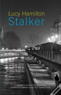 Capa do artigo Stalker