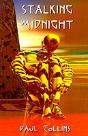 Stalking Midnight - Preview