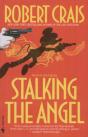 Stalking The Angel - Preview