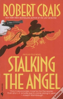 Capa do artigo Stalking The Angel