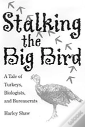 Stalking The Big Bird