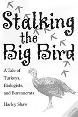 Capa do artigo Stalking The Big Bird