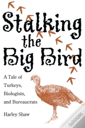 Capa do artigo Stalking The Big Bird