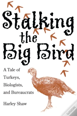 Capa do artigo Stalking The Big Bird