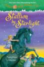 Stallion By Starlight - Preview