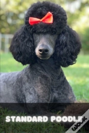 Capa do artigo Standard Poodle