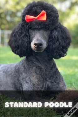 Capa do artigo Standard Poodle