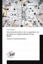 Standardisation De La Gestion De Projets & Implantation D'Un Pmo - Analyse Et Recommandations - Preview