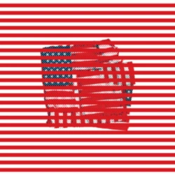 Capa do artigo Standards - Vinil