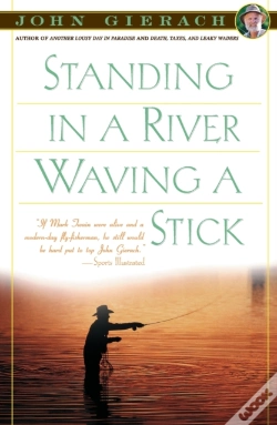 Capa do artigo Standing In A River Waving A Stick