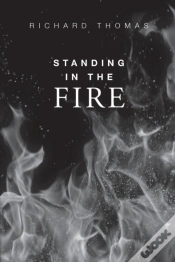Capa do artigo Standing In The Fire