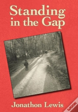 Capa do artigo Standing In The Gap
