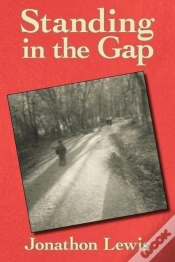 Capa do artigo Standing In The Gap