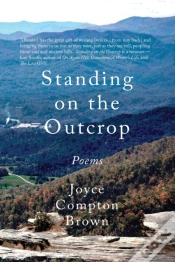 Capa do artigo Standing On The Outcrop