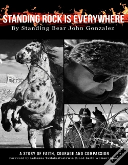 Capa do artigo Standing Rock Is Everywhere