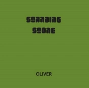 Capa do artigo Standing Stone - Vinil