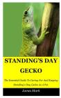 Standing'S Day Gecko - Preview