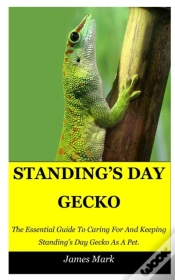 Capa do artigo Standing