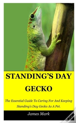 Capa do artigo Standing'S Day Gecko