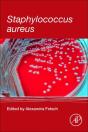 Staphylococcus Aureus - Preview
