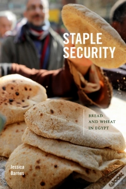 Capa do artigo Staple Security