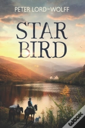 Capa do artigo Star Bird