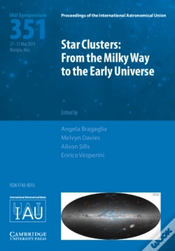 Capa do artigo Star Clusters (Iau S351)