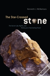Capa do artigo Star-Crossed Stone