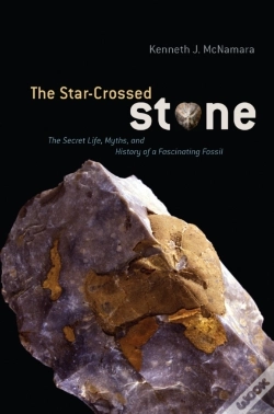 Capa do artigo Star-Crossed Stone