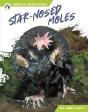 Star-Nosed Moles - Preview