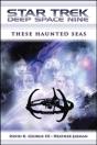 Star Trek: Deep Space Nine: These Haunted Seas - Preview