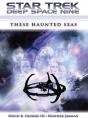 Star Trek: Deep Space Nine: These Haunted Seas - Preview