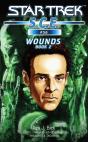 Star Trek: Wounds, Book 2 - Preview