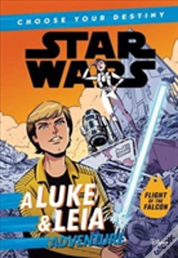 Capa do artigo Star Wars A Luke Leia Adventure